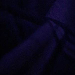 Meet your Posher, Sammy